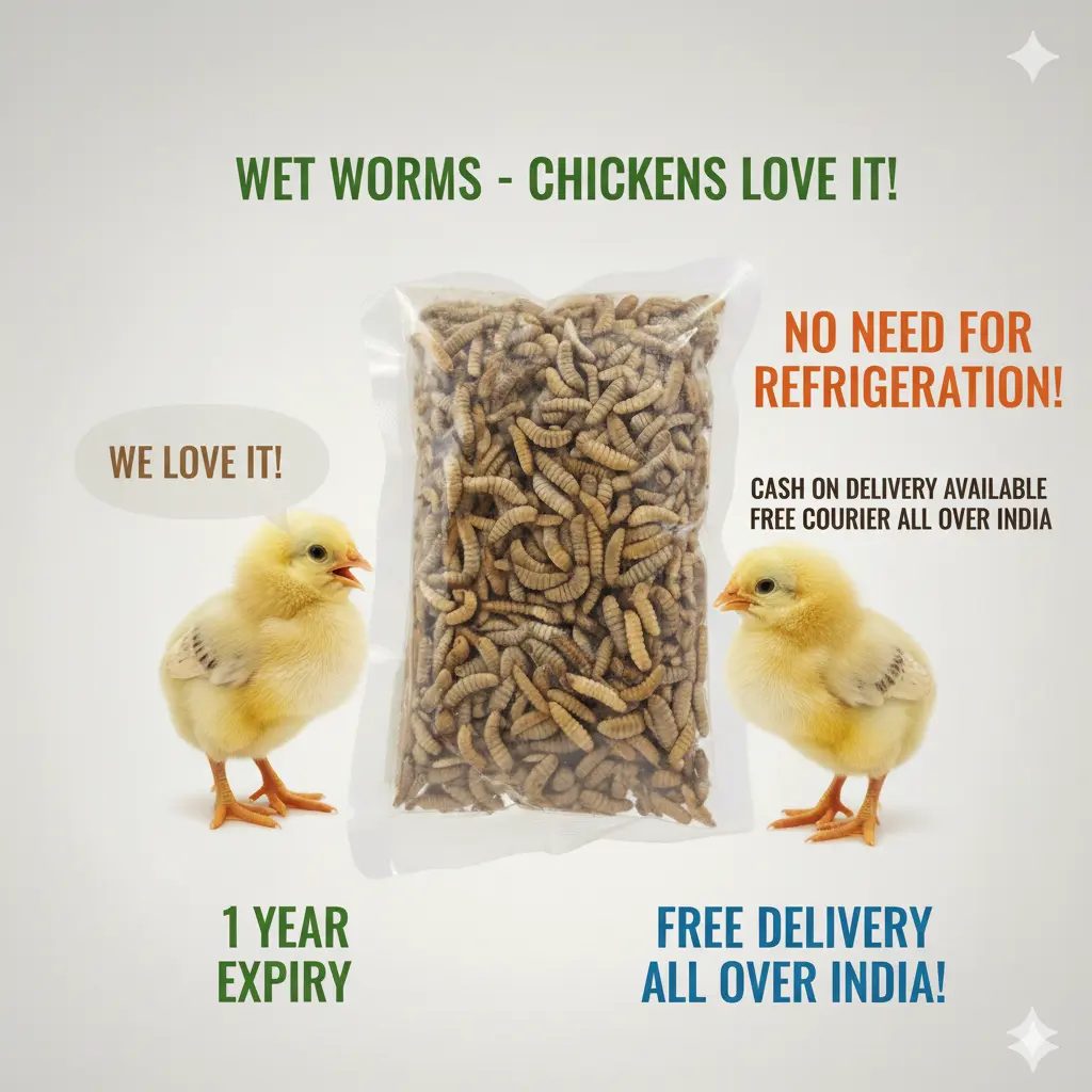 Premium Quality Worms